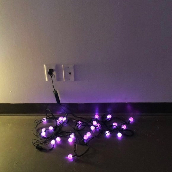 Meet your Posher, Wincy - Picture 1 of 1